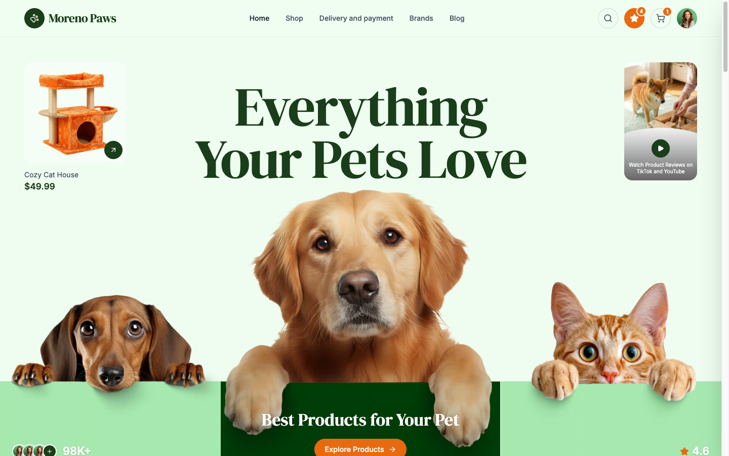 Moreno Paws project showcase